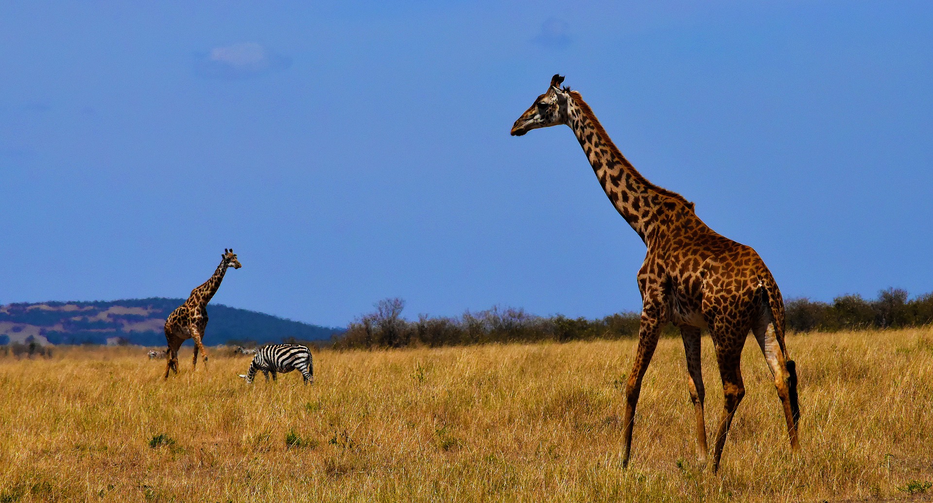 Tanzanie: hotel de luxe pas cher