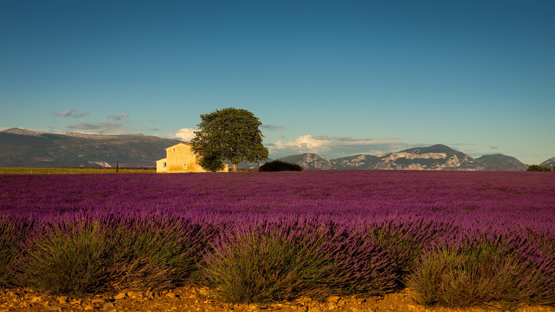 Provence: vacances de luxe