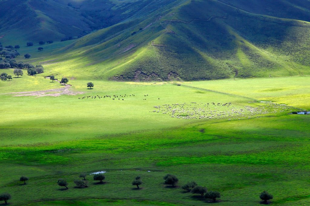 Beau paysage de Mongolie
