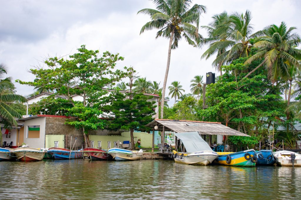 Paysage Sri Lanka